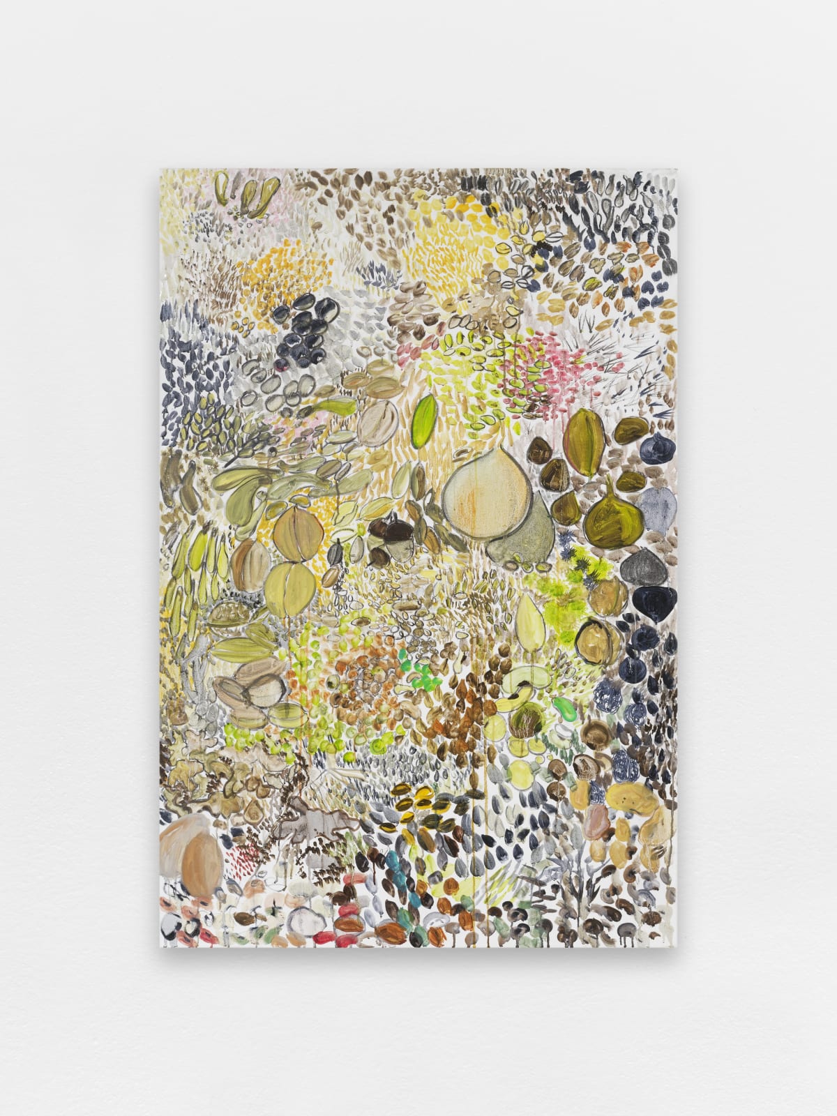 Fabrice Hyber , Graines, 2025