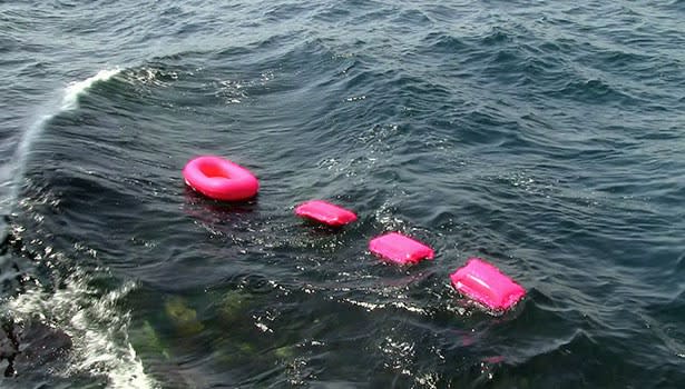 FÜSUN ONUR, Pink Boat , 2014