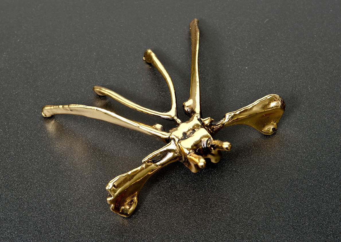 EKİN SAÇLIOĞLU, Nummulites Series, 2014