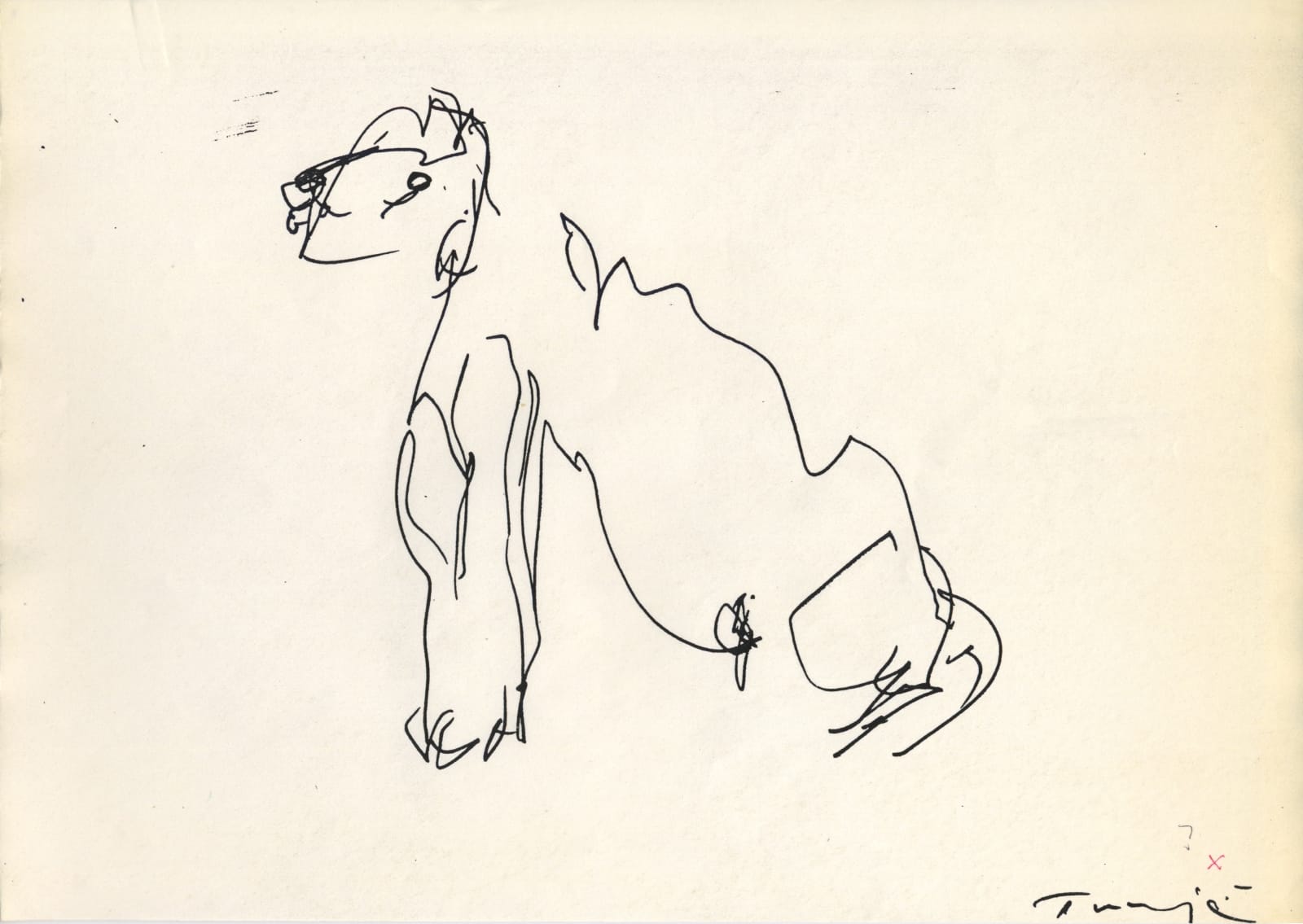 TİRAJE, Untitled