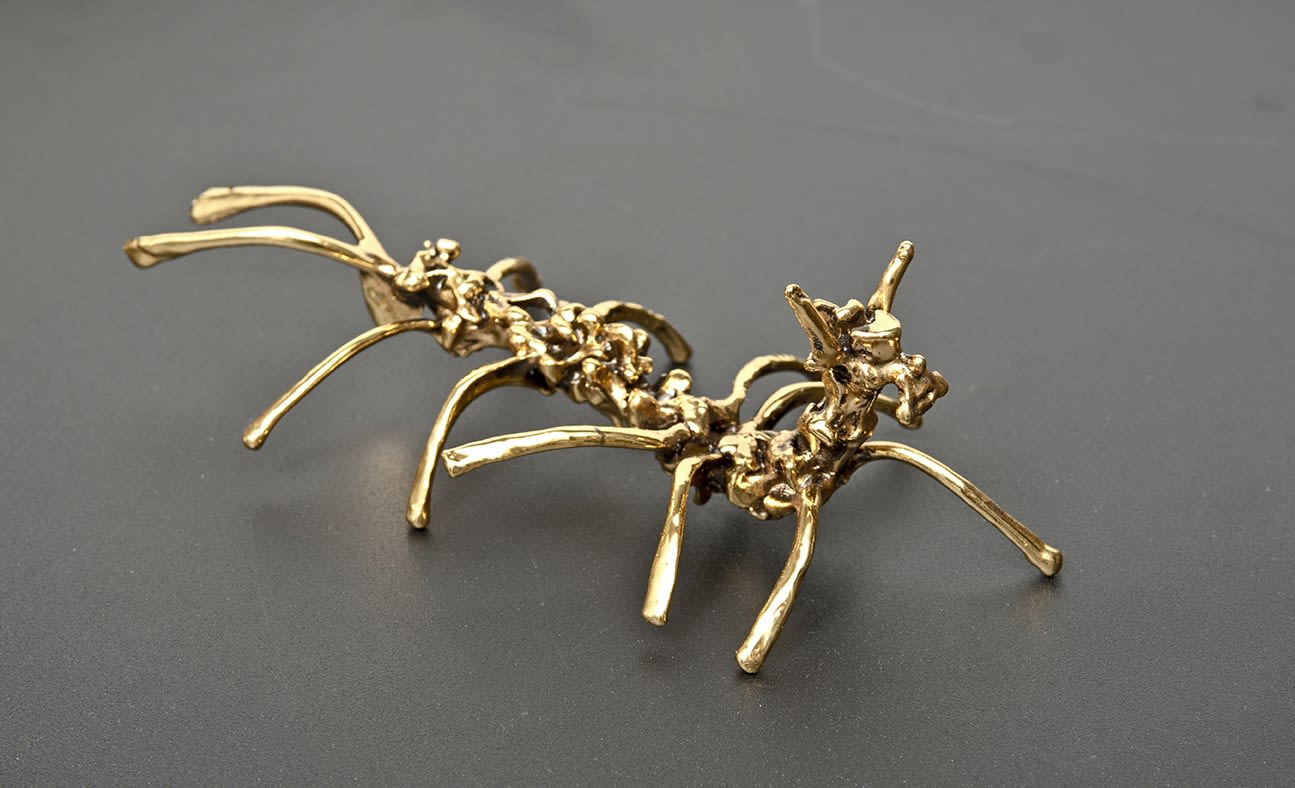EKİN SAÇLIOĞLU, Nummulites Series, 2014