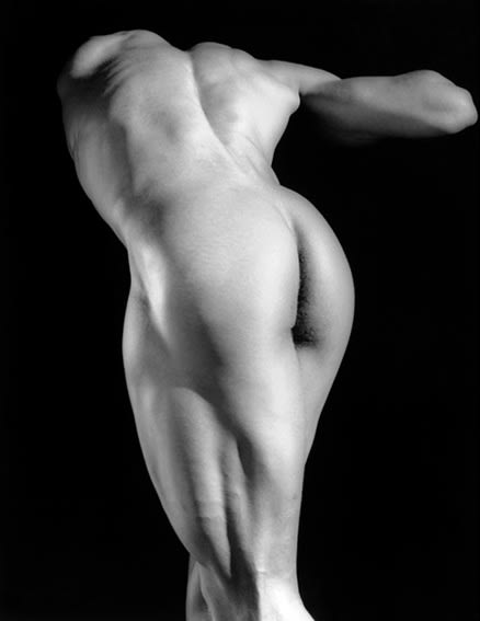 ROBERT MAPPLETHORPE, Michael Reed , 1987