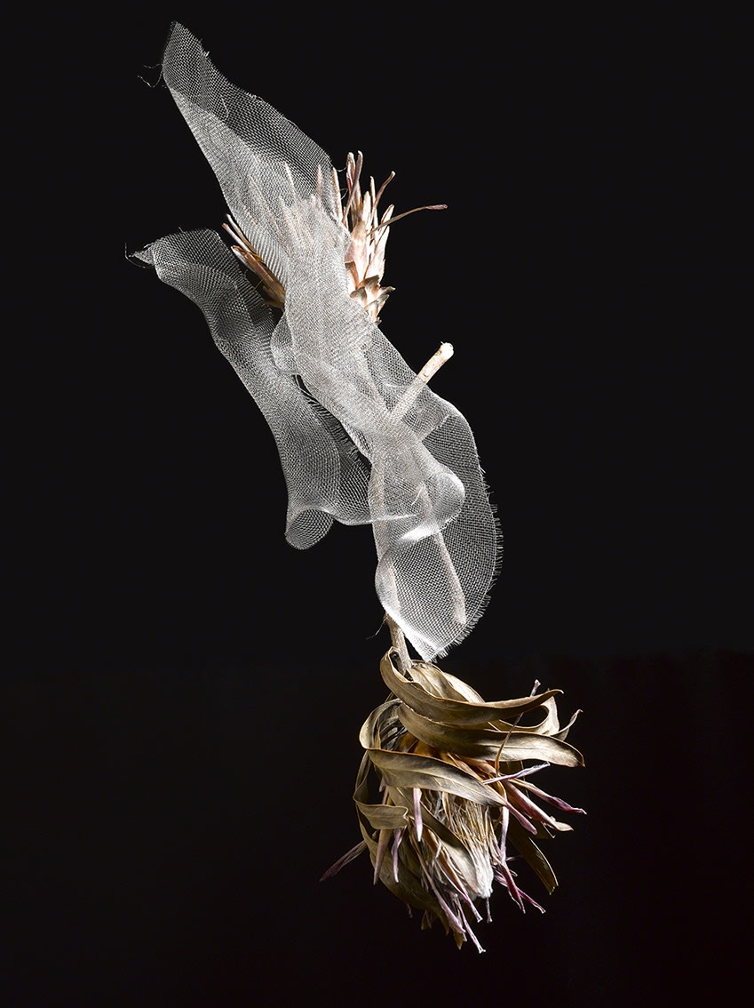 ANİ ÇELİK AREVYAN, Light Study, Flower with Mesh #208, 2020