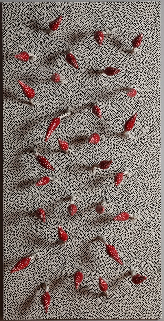 ELVAN ALPAY, Untitled, 2011