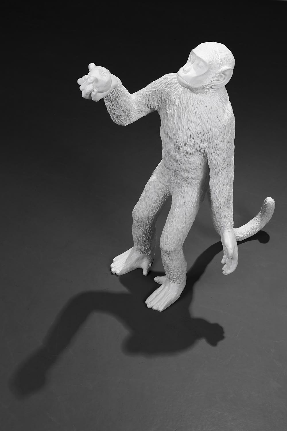 GÖKÇEN DİLEK ACAY, Prologue, 2016