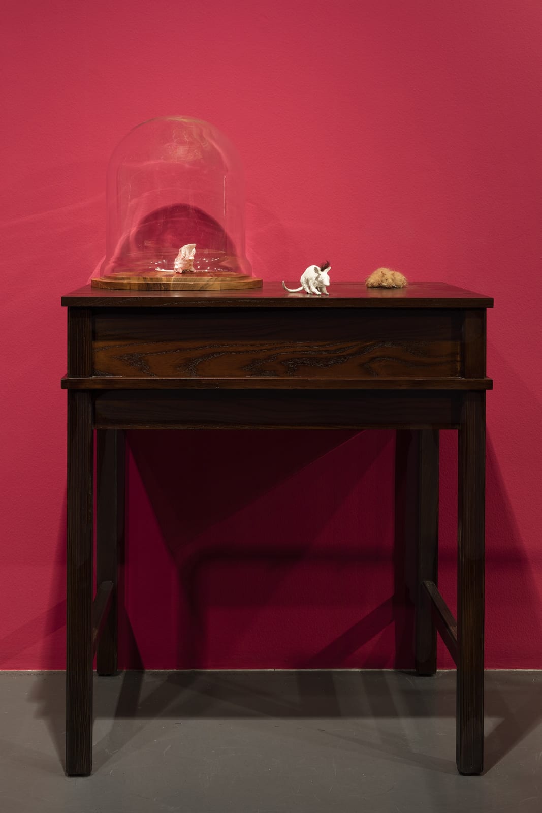 GÖKÇEN DİLEK ACAY, Laboratory Mice , 2016