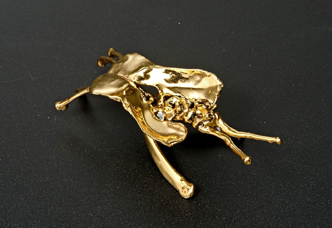 EKİN SAÇLIOĞLU, Nummulites Series, 2014