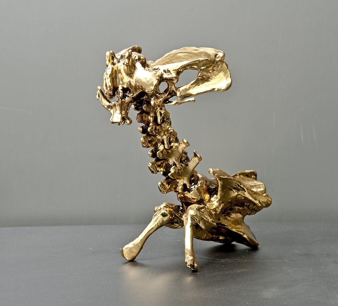EKİN SAÇLIOĞLU, Nummulites Series, 2014
