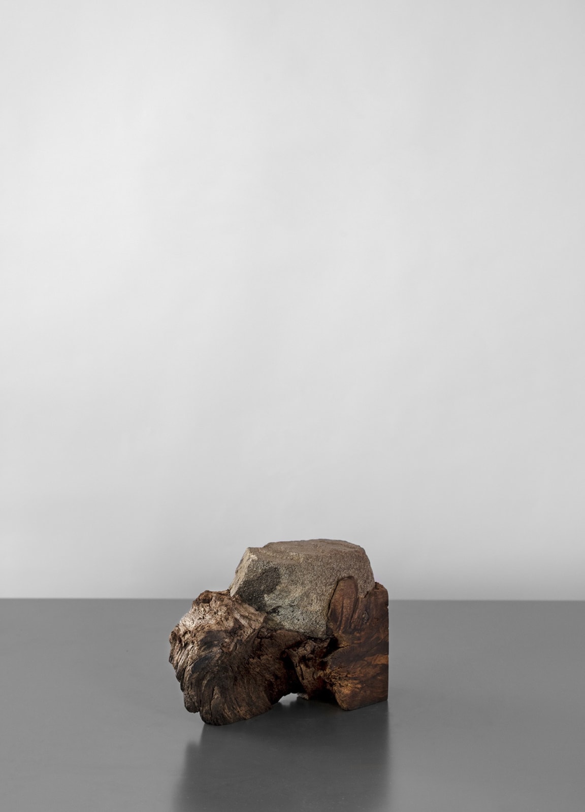 AHMET DOĞU İPEK, Root 8, 2019