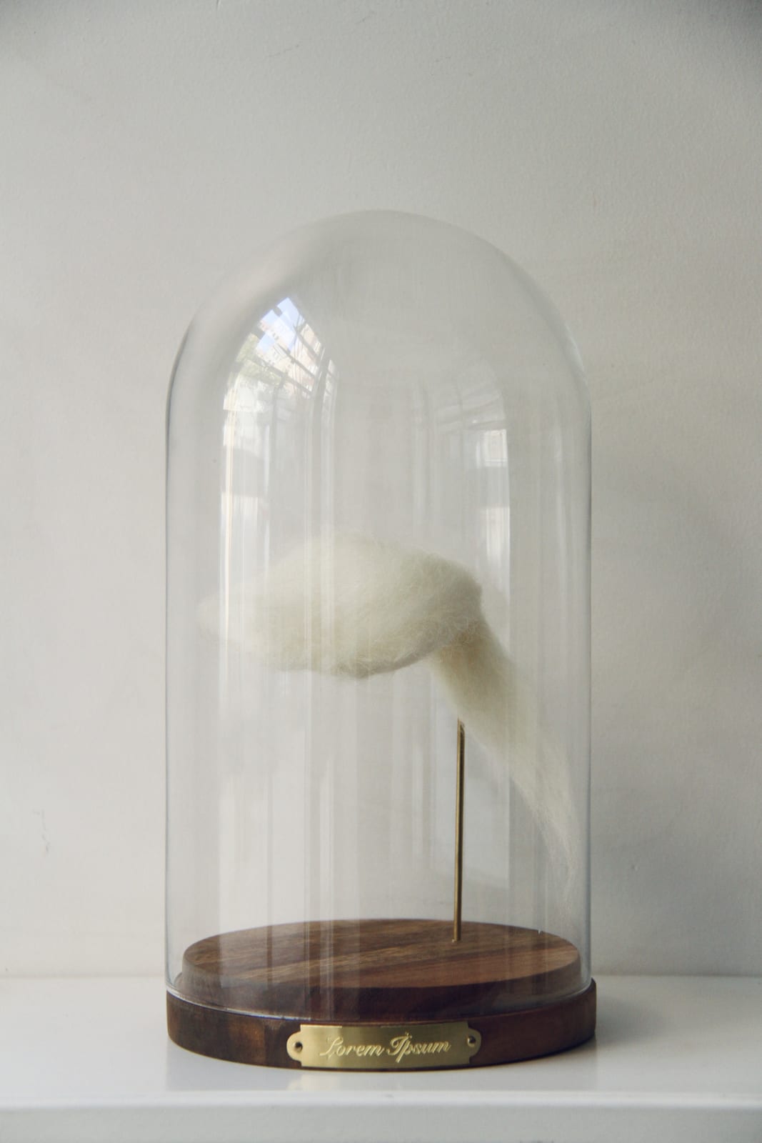 NERGİZ YEŞİL, LOREM İPSUM III. VII. VIII, 2019