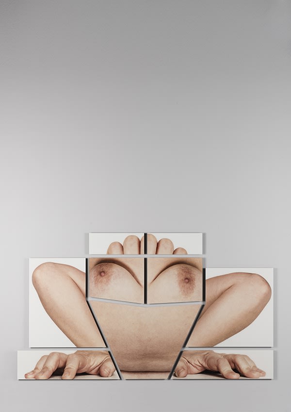 MELTEM IŞIK , Suspicious Affinities, Untitled No:7, 2015