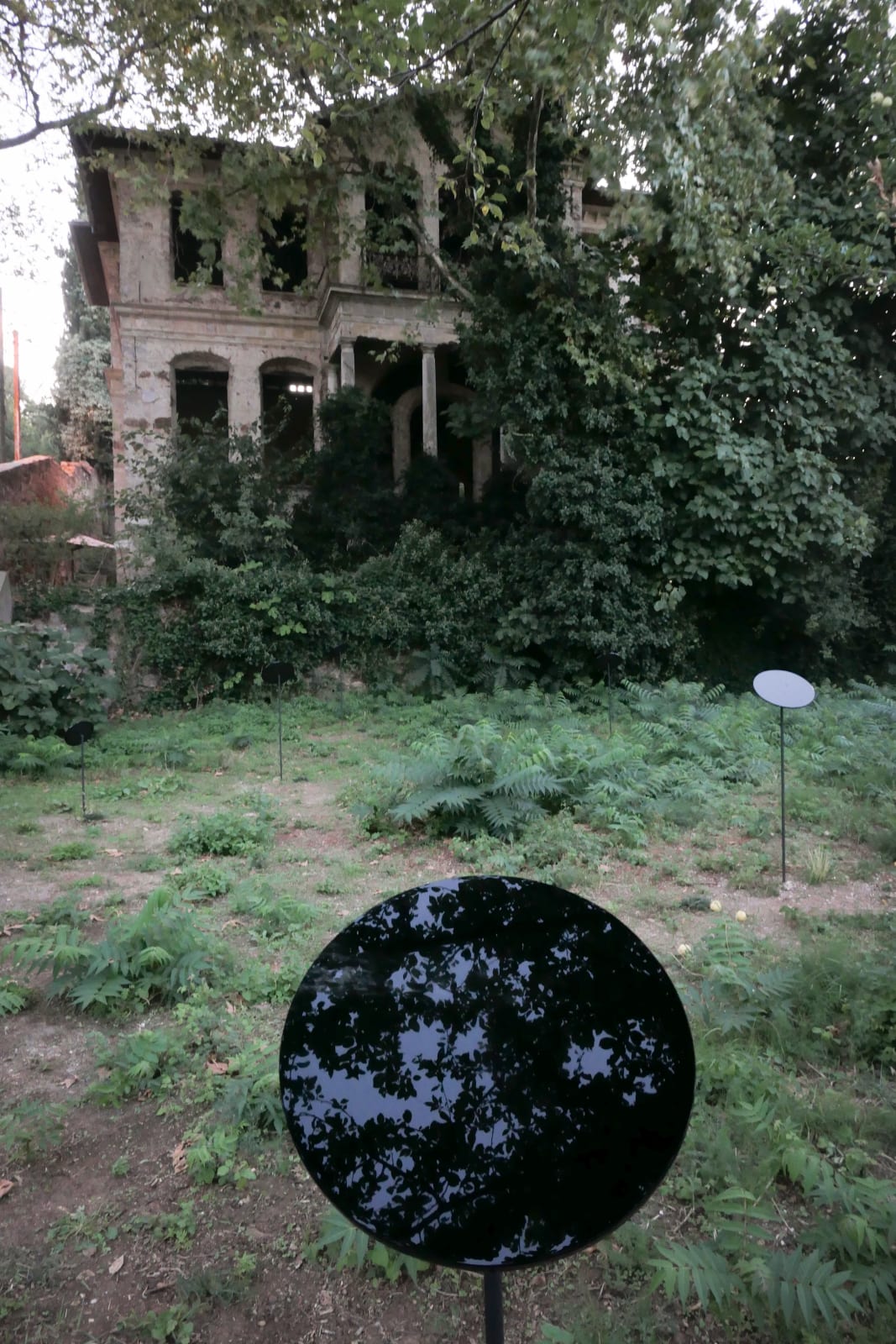 HALE TENGER, Appearance, 2019