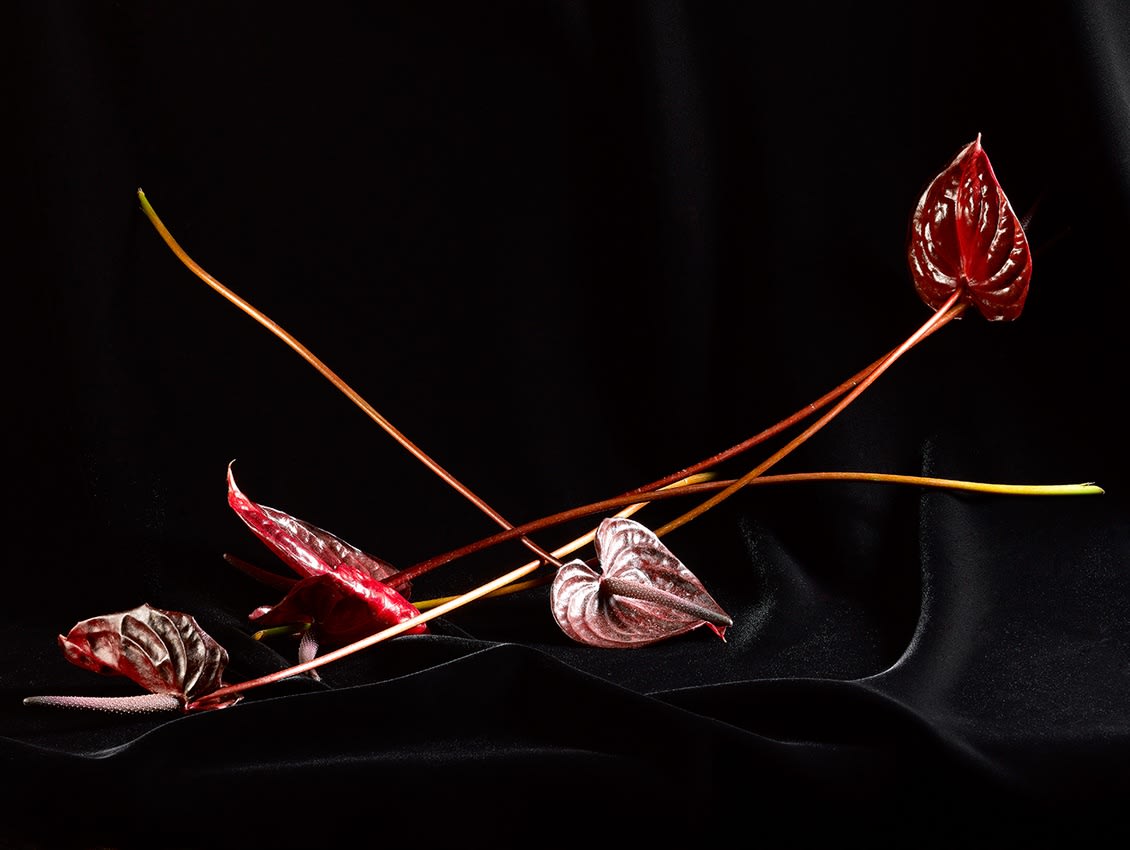 ANİ ÇELİK AREVYAN, Light Study, Red #45, 2020