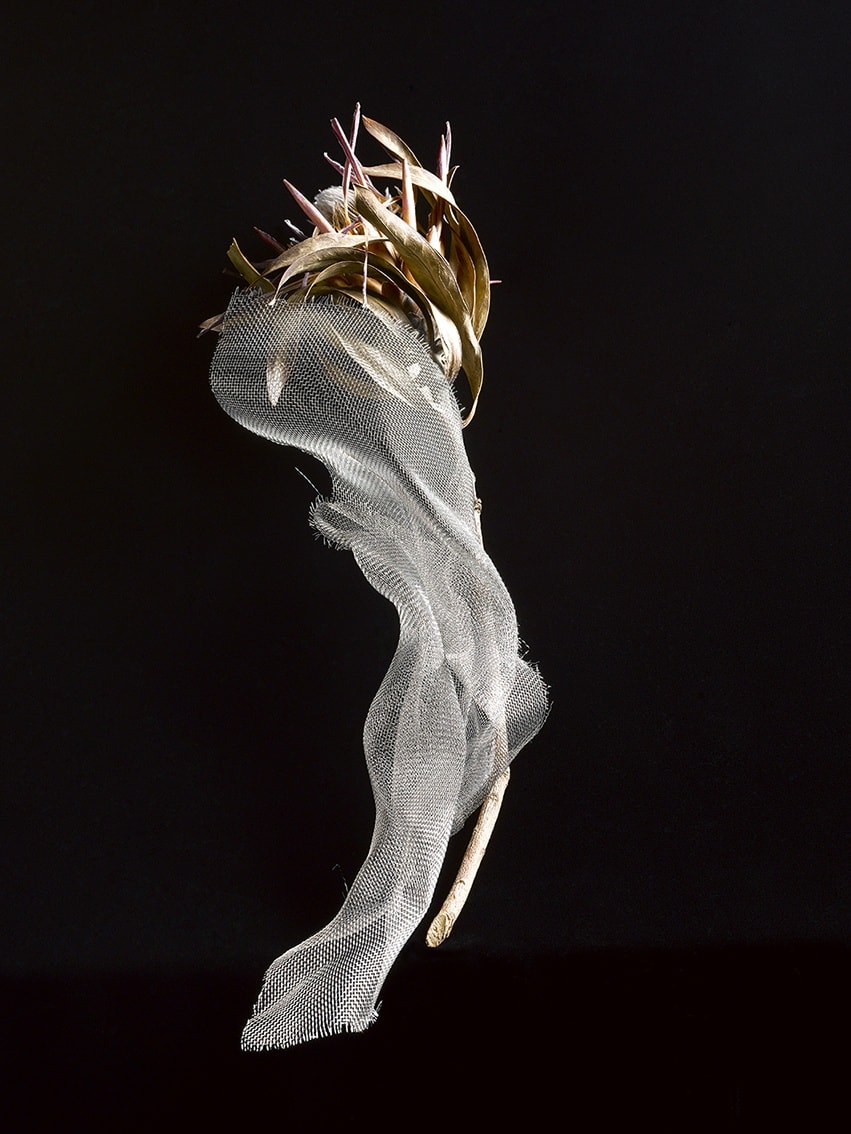ANİ ÇELİK AREVYAN, Light Study, Flower with Mesh #183