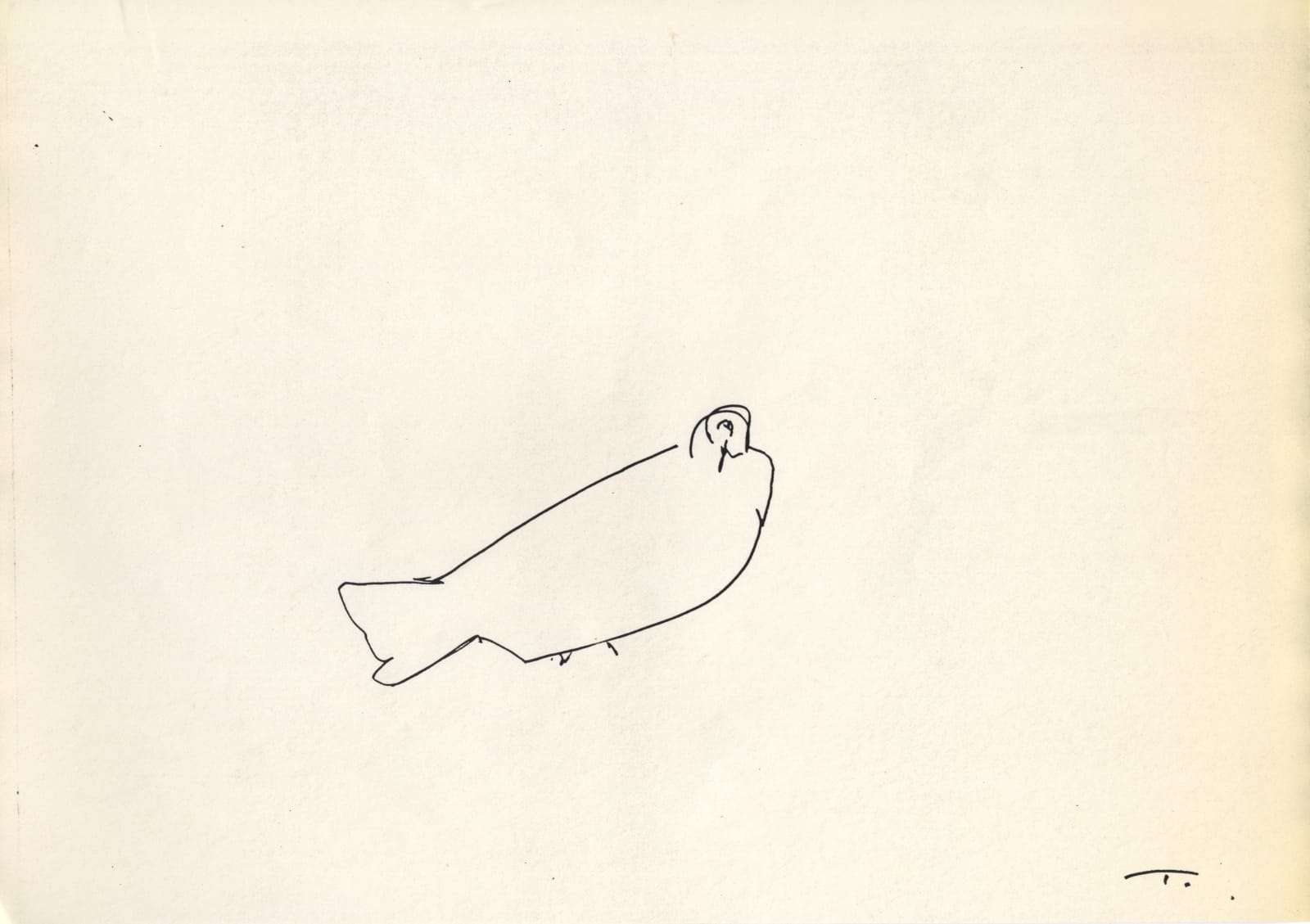 TİRAJE, Untitled