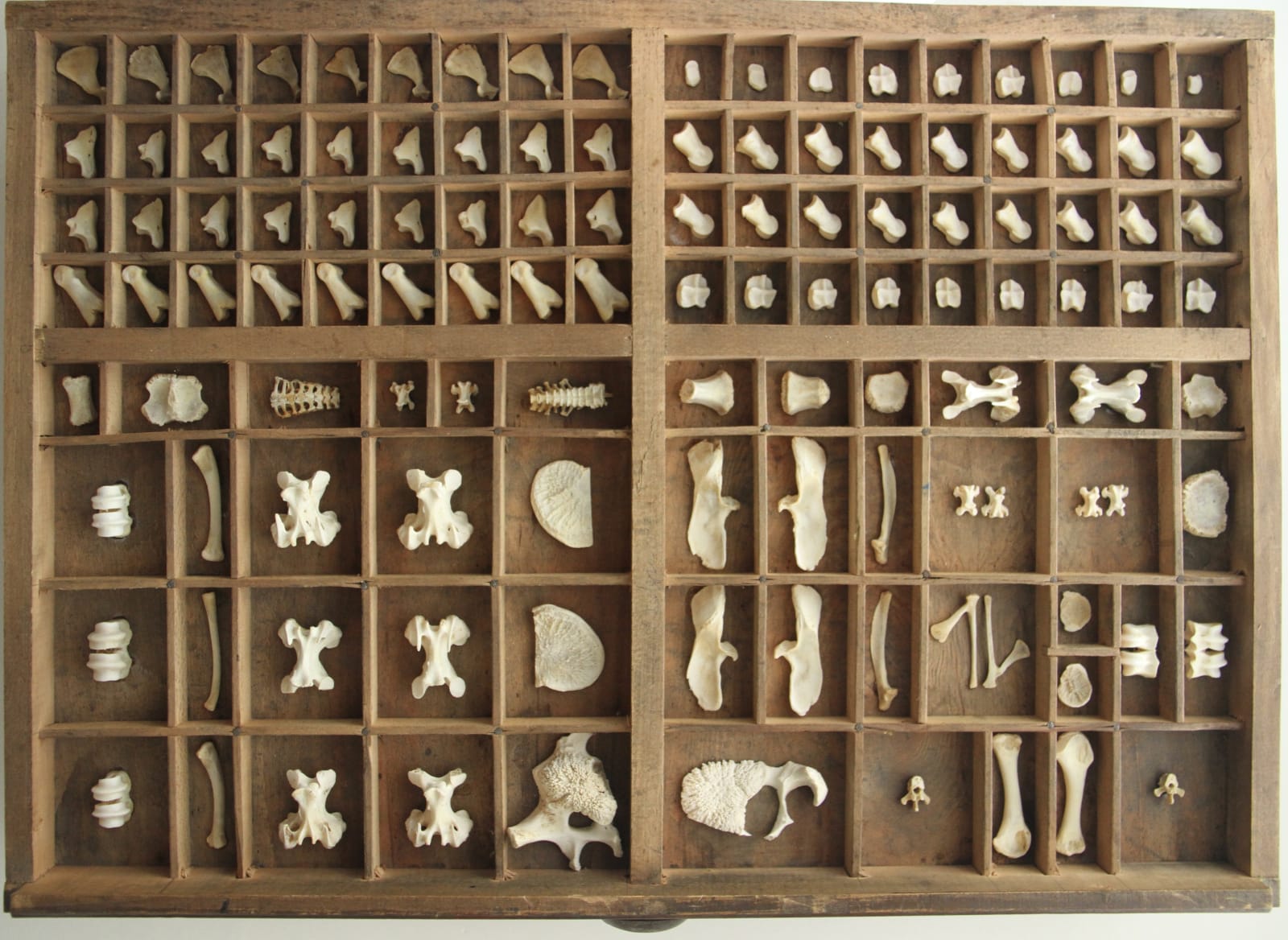 NERGİZ YEŞİL, LOREM İPSUM III. V. III, 2019