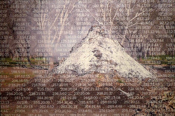 MICHAEL BISHOP, Counting Trees, 2014