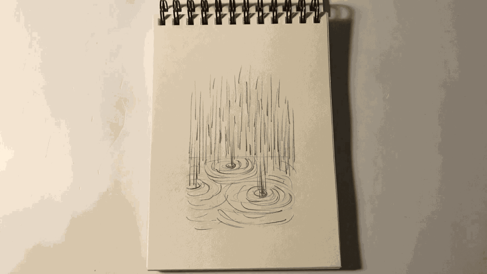 NERMİN ER, The Season Has Passed, 2018