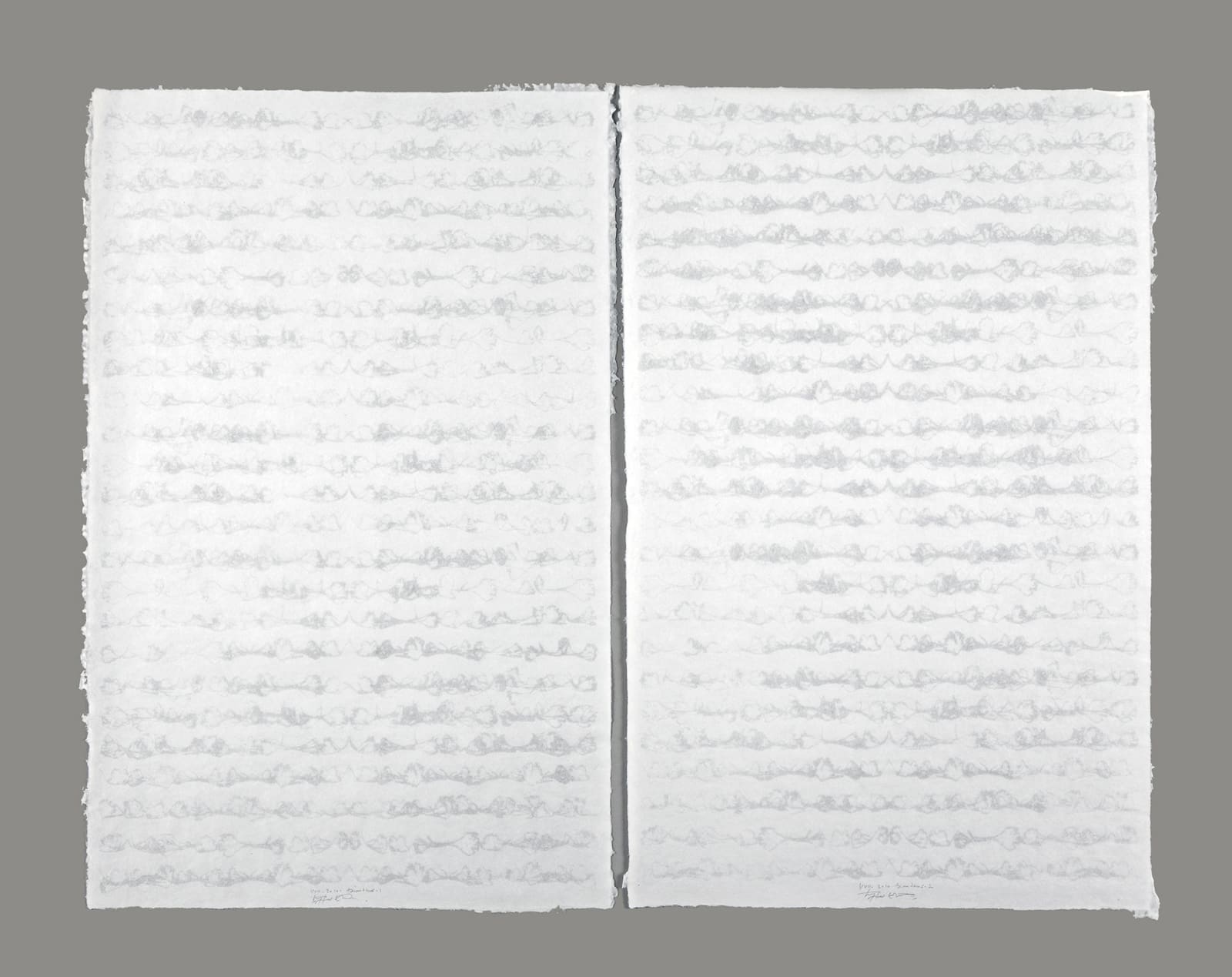 TAYFUN ERDOĞMUŞ, Dianthus, 2011