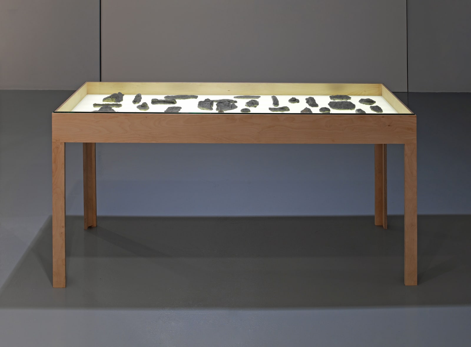 EDA ASLAN, Kamp Armen , 2015
