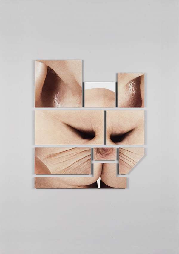 MELTEM IŞIK, Suspicious Affinities Series, Untitled no:8, 2015