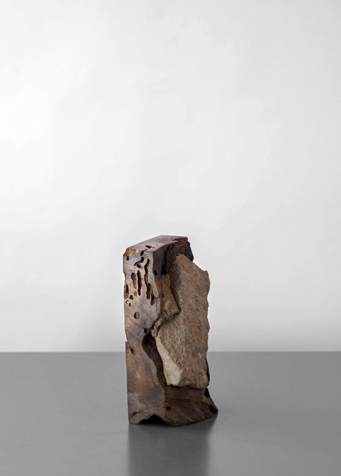 AHMET DOĞU İPEK, Root 4, 2019