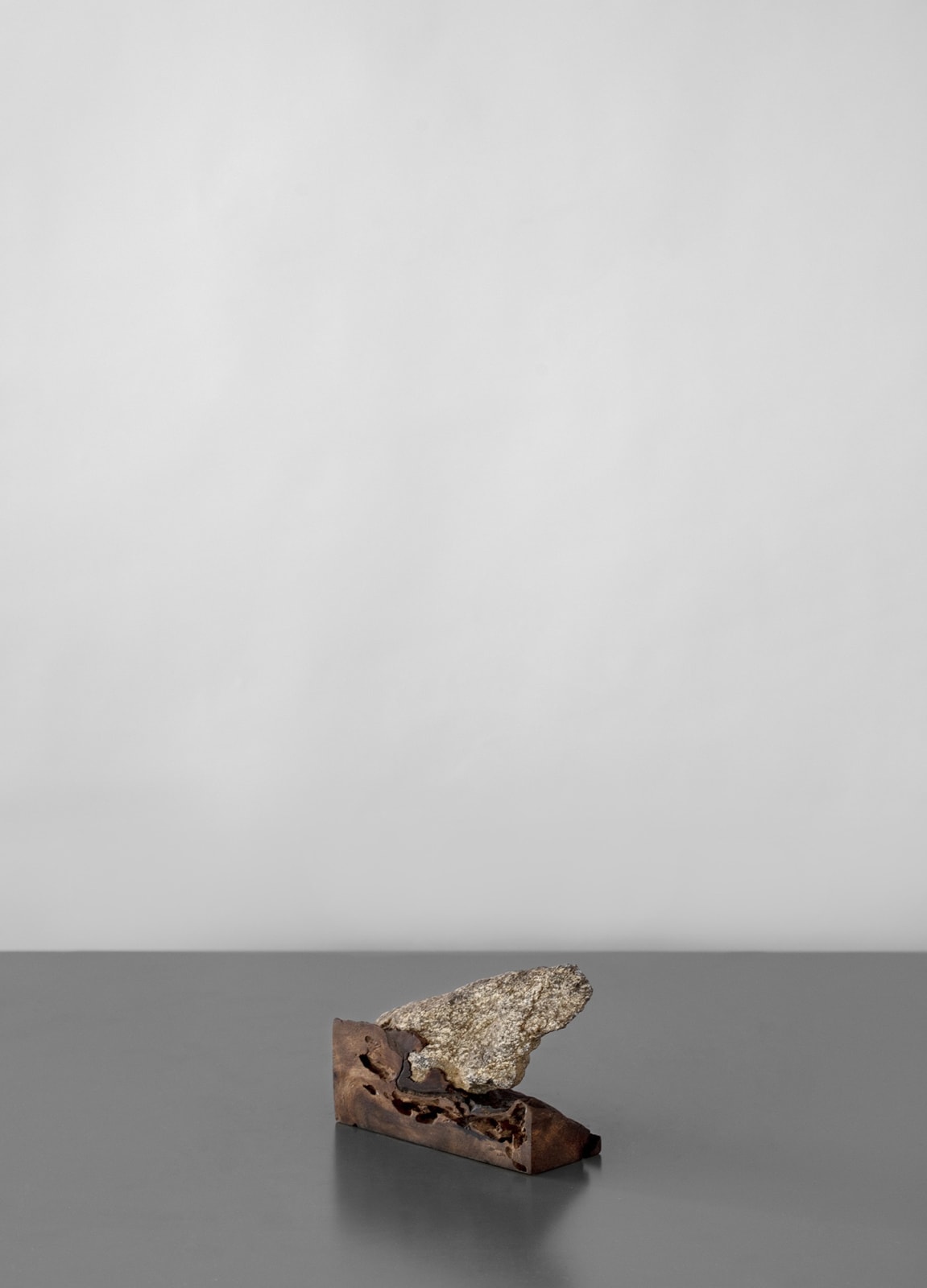 AHMET DOĞU İPEK, Root 9, 2019