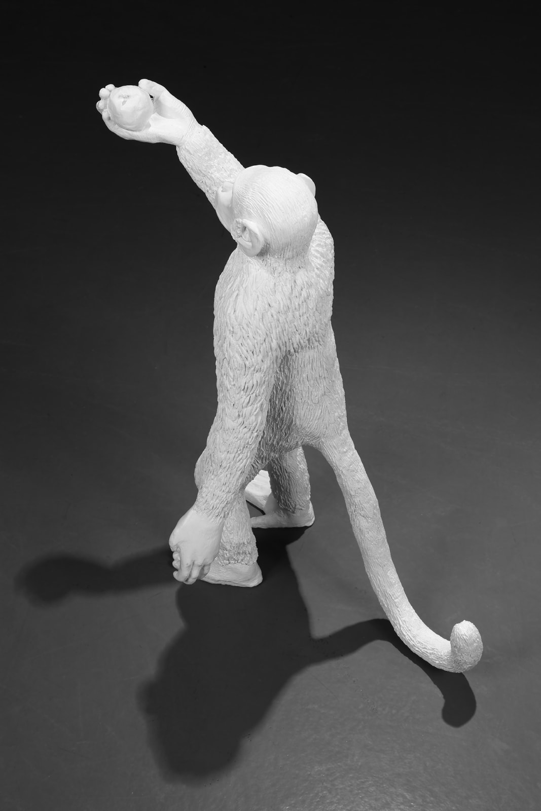 GÖKÇEN DİLEK ACAY, Prologue, 2016