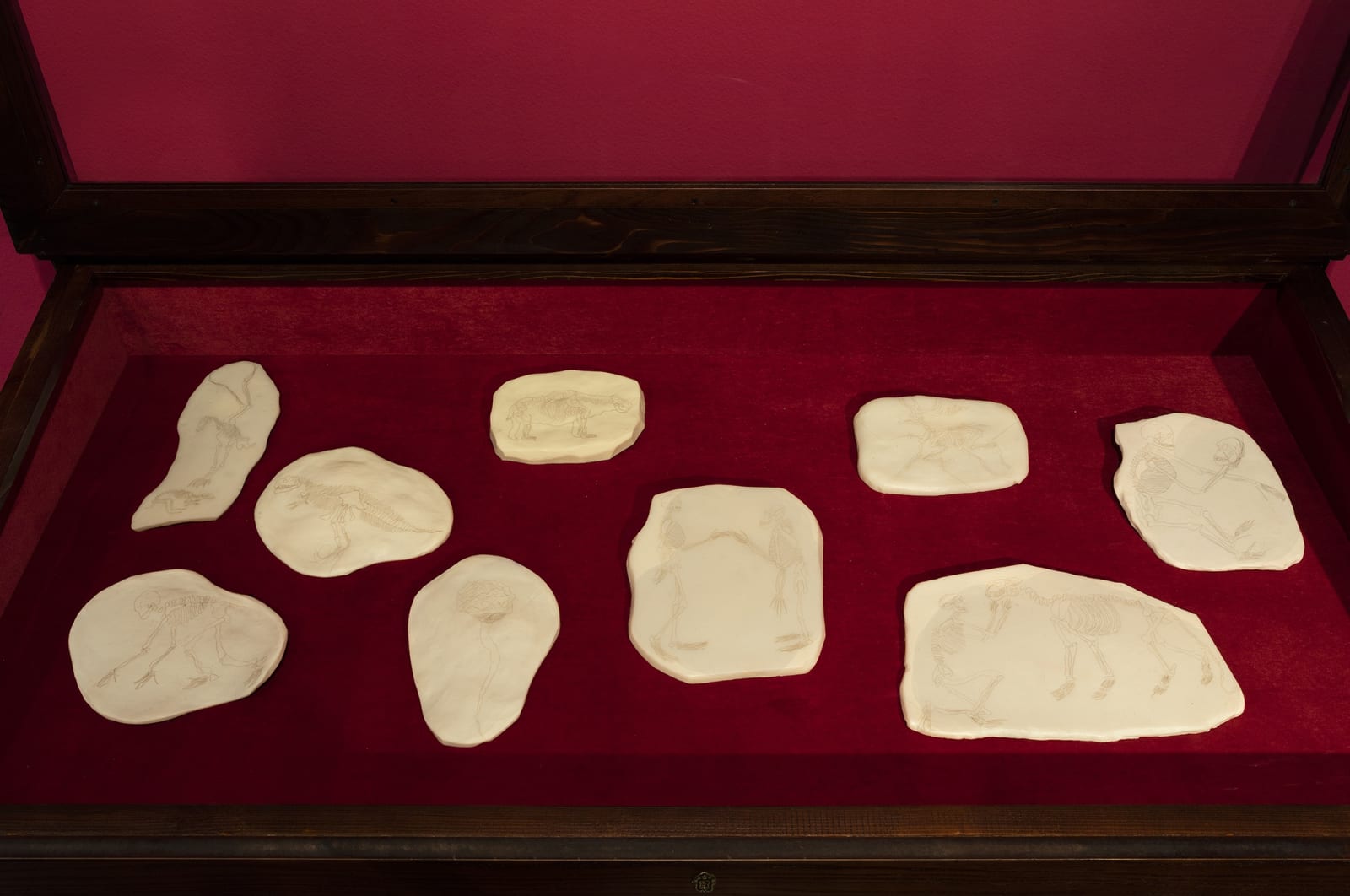 GÖKÇEN DİLEK ACAY, Imaginary Fossils , 2016