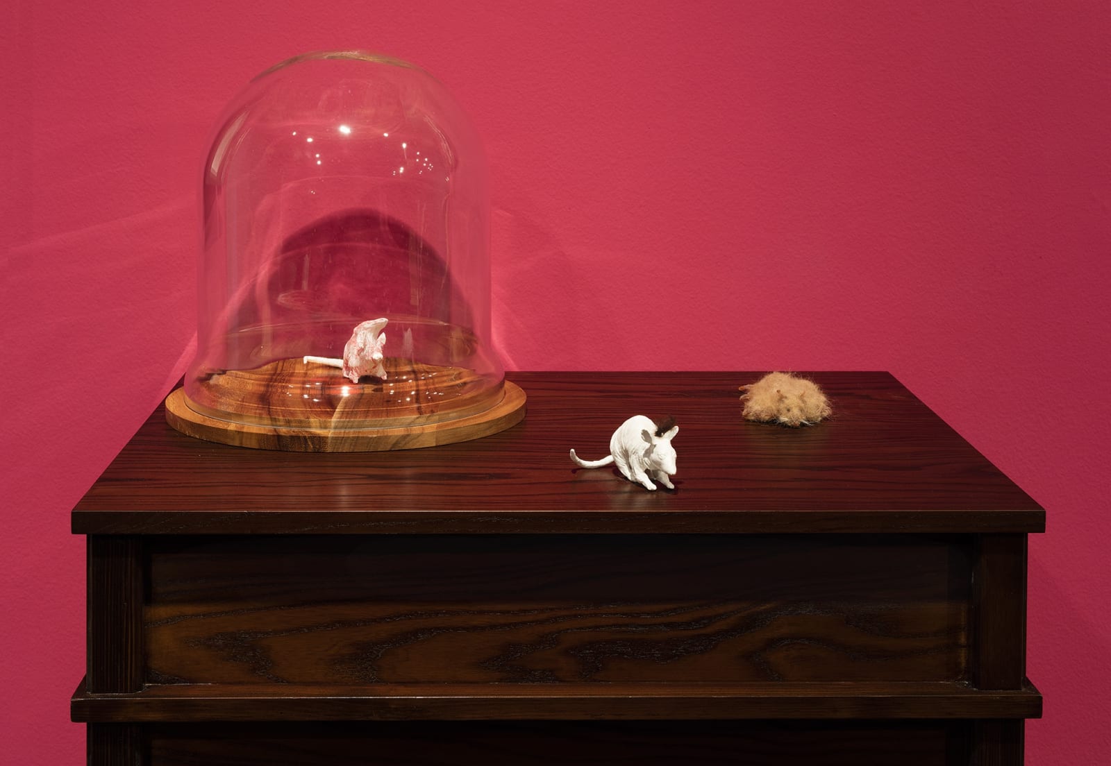 GÖKÇEN DİLEK ACAY, Laboratory Mice , 2016