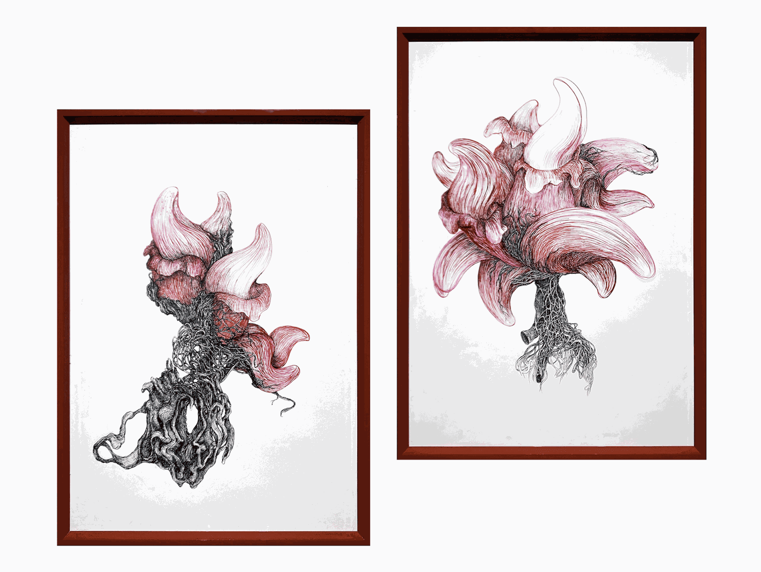 Sissi, Blooming Tongue, 2018