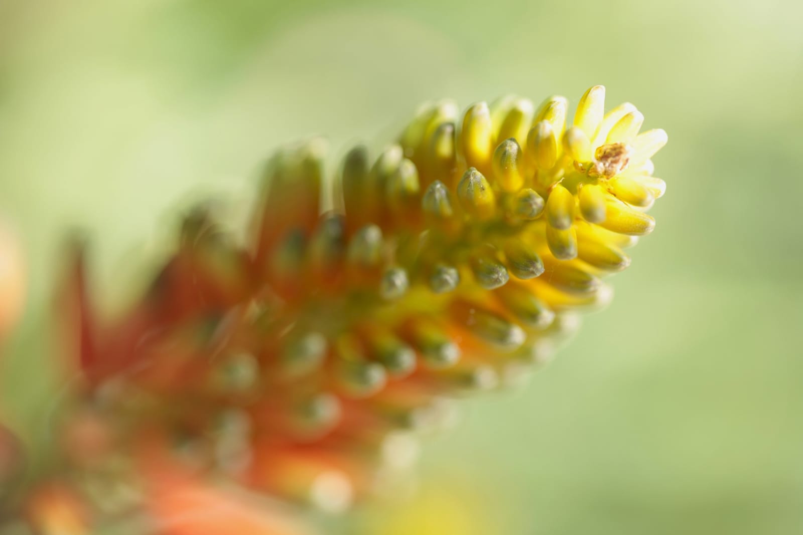 _mg_4456.jpg