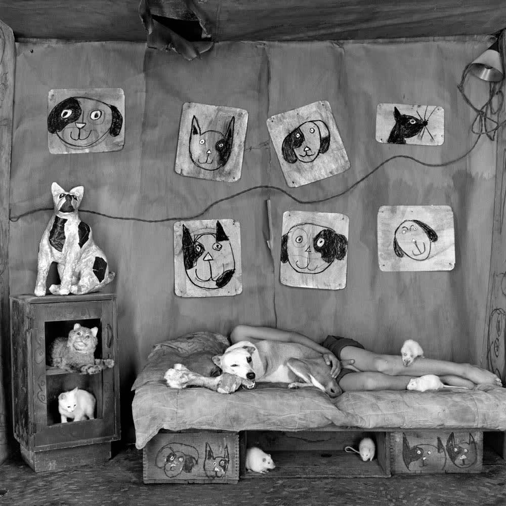 Roger Ballen, Dogfellows, 2014