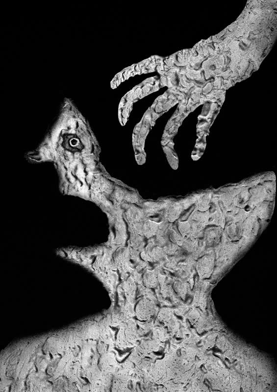 Roger Ballen, Black hole, 2013