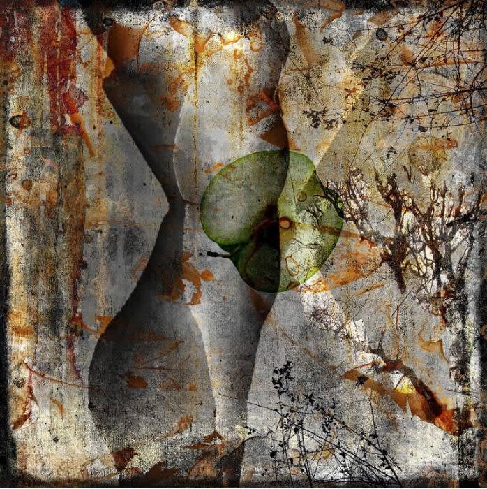 Steven Irwin, Land of Venus III