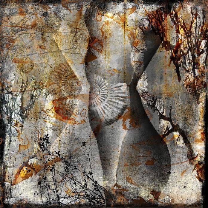 Steven Irwin, Land of Venus I