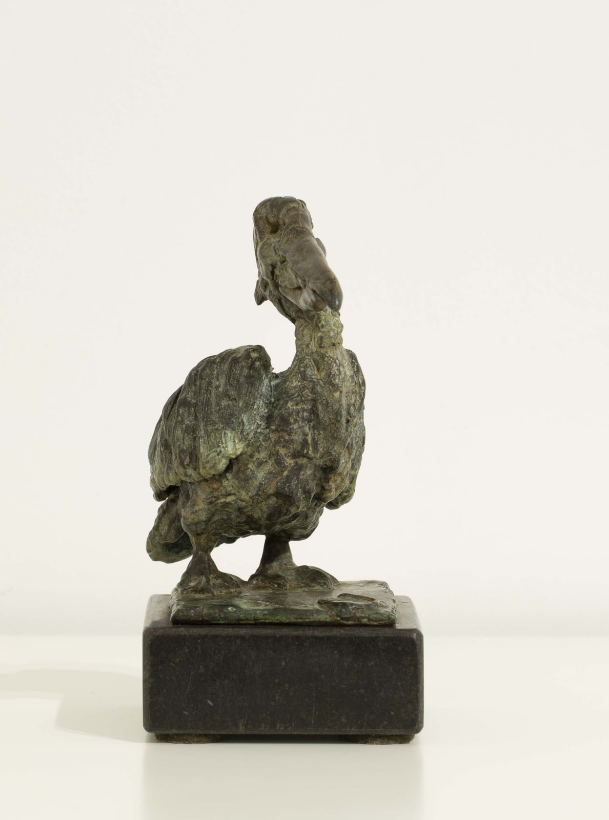 Pieter Vanden Daele , Pelican