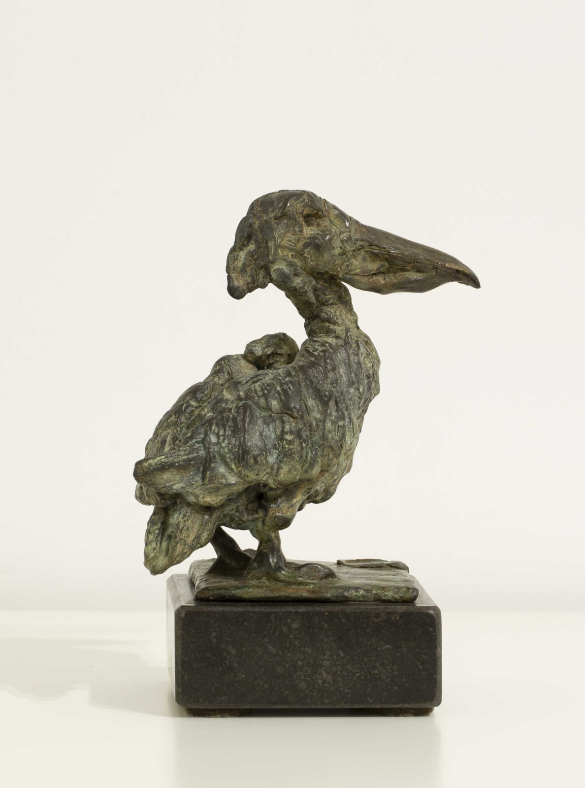 Pieter Vanden Daele , Pelican