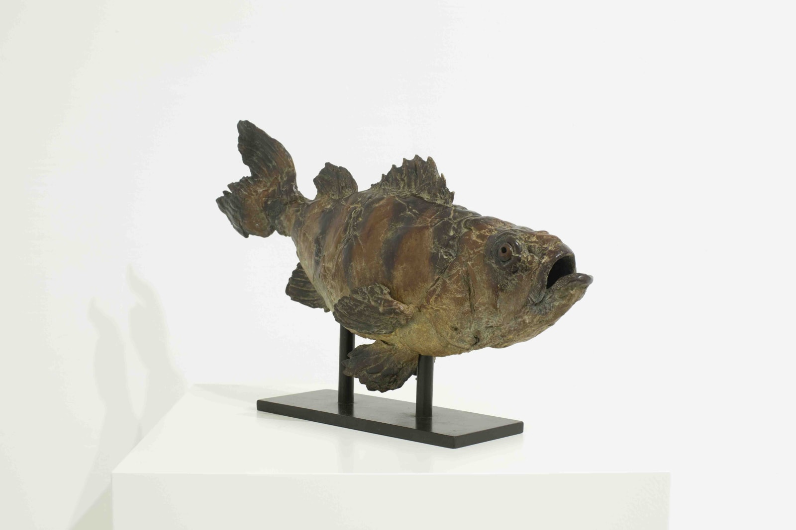 Pieter Vanden Daele , Seabass