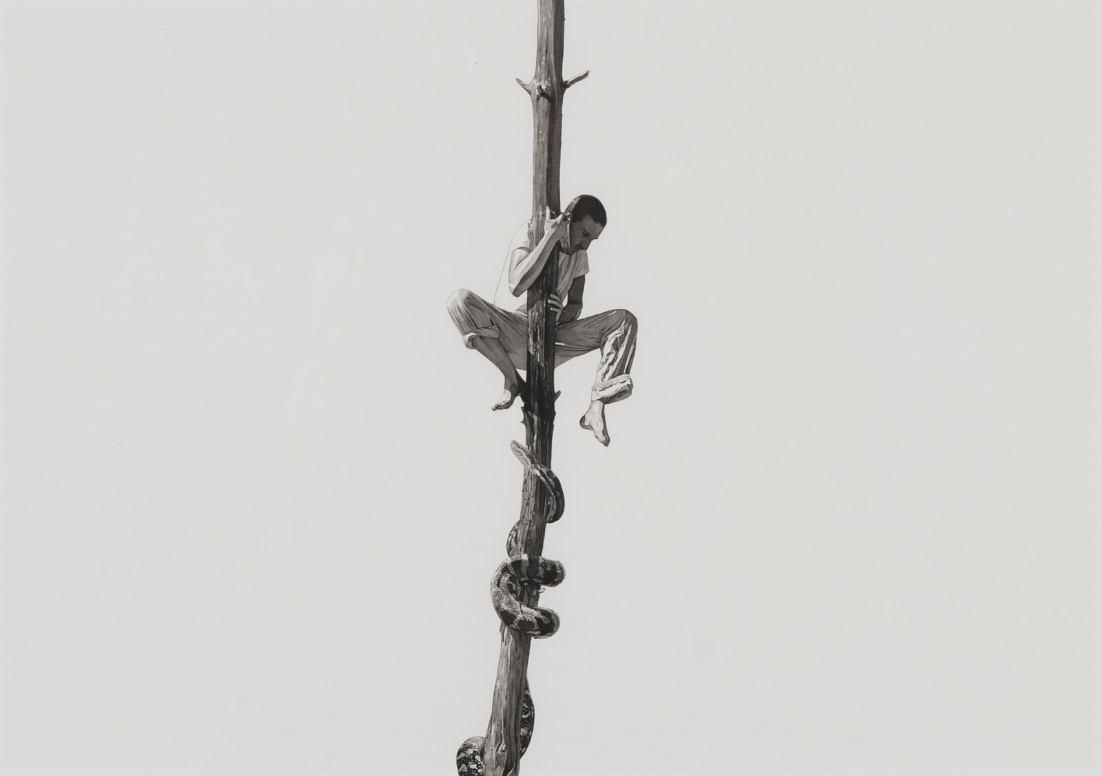 Fabien Mérelle, Serpent, 2017