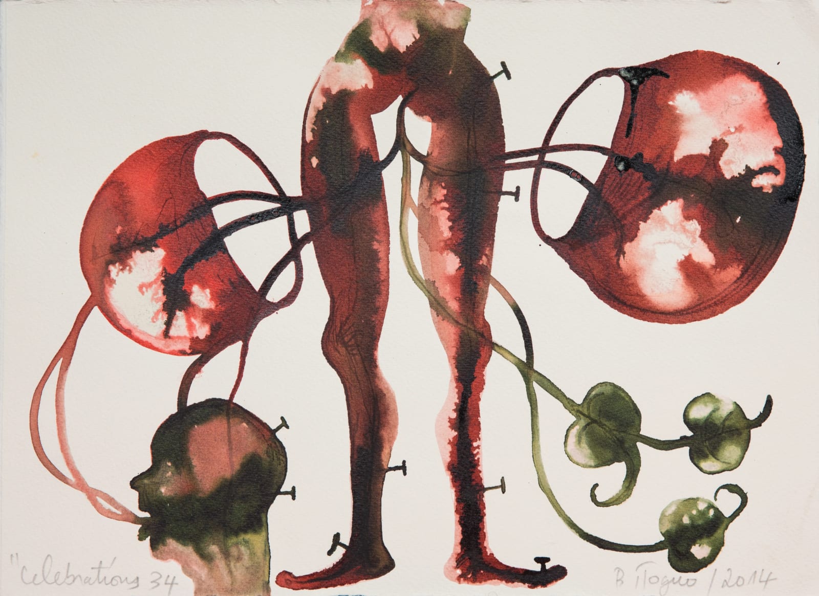 Barthélémy Toguo, Celebrations 34, 2014
