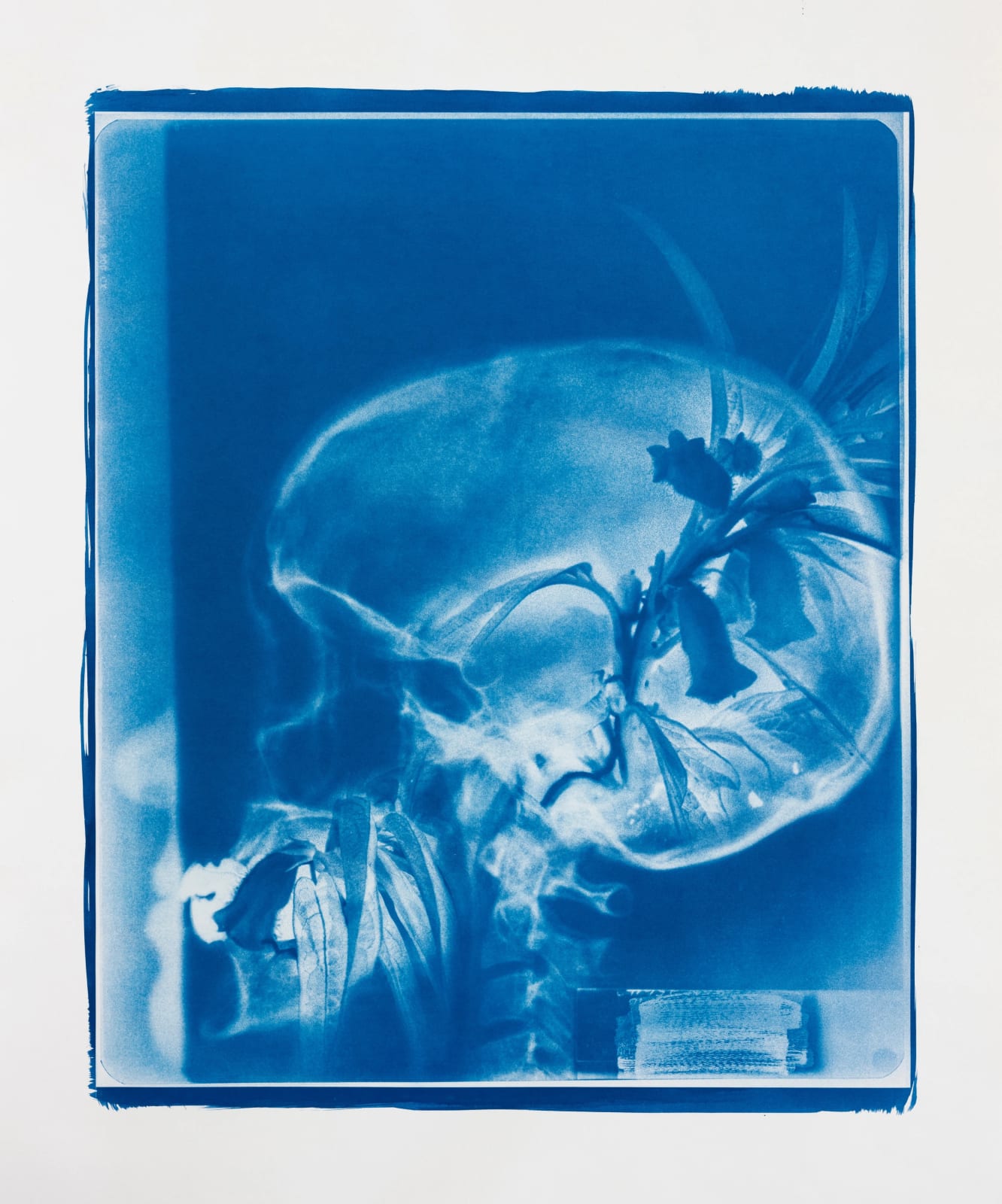 Hu Weiyi, Blue Bones No.3, 2020