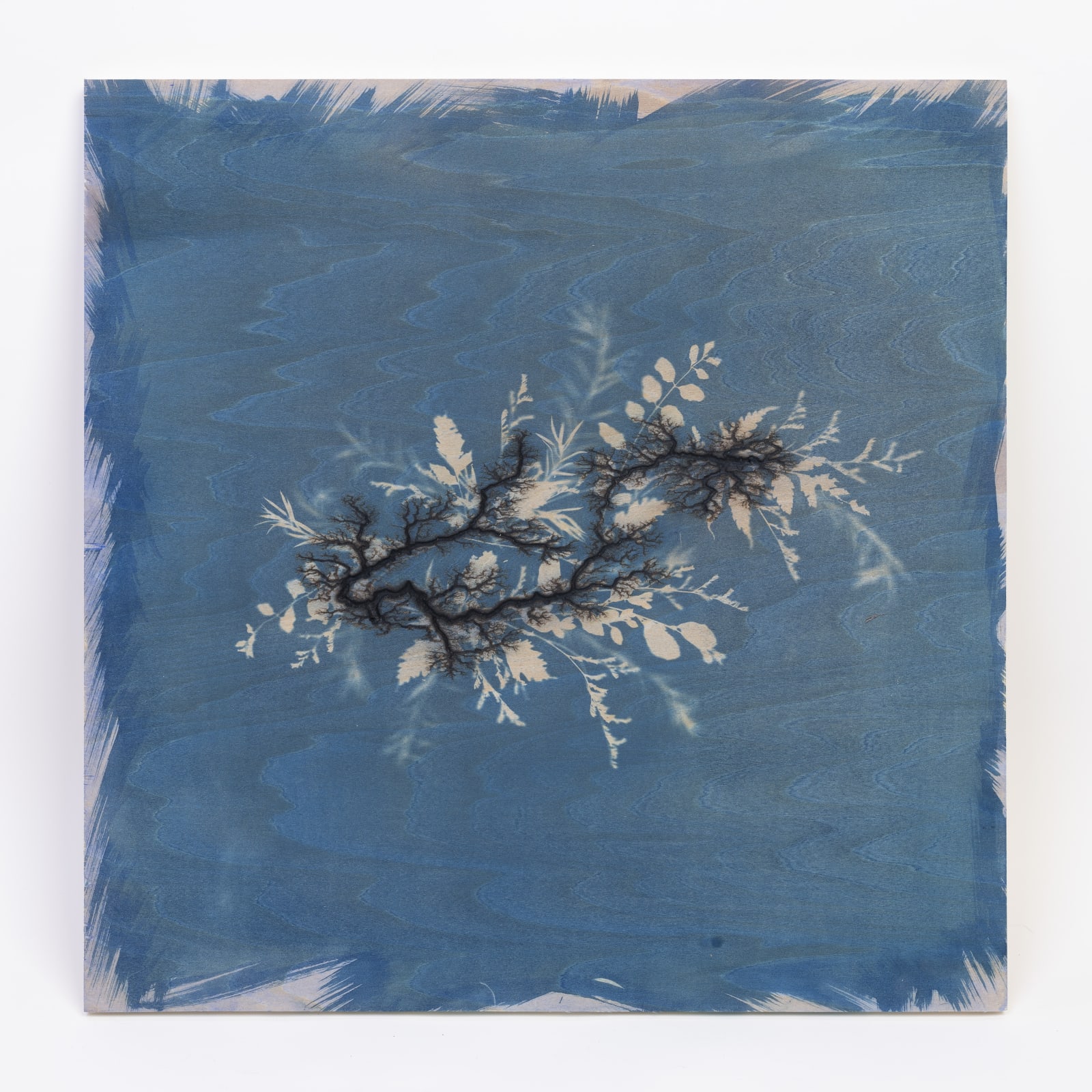 Hu Weiyi, Branches 7, 2019