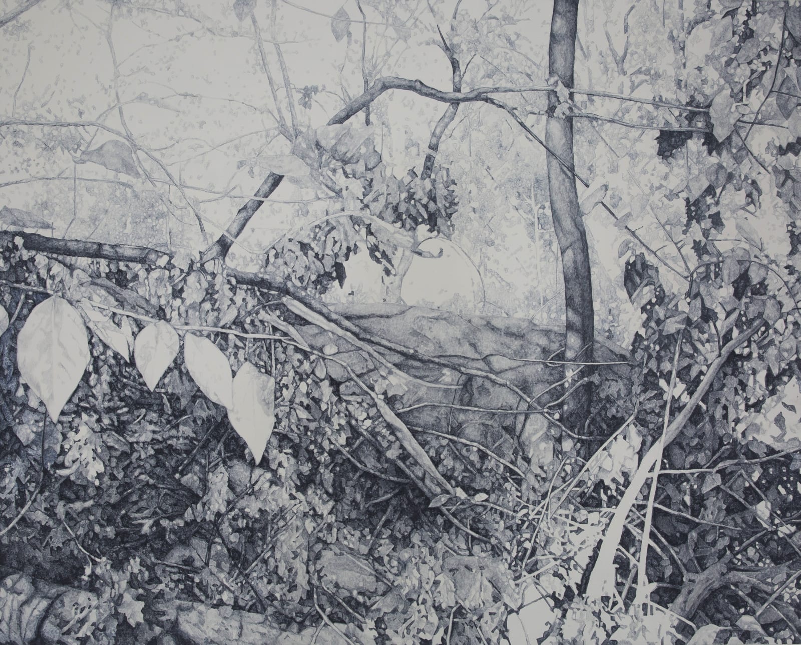 Zhao Xuebing, Central Park No.9, 2012