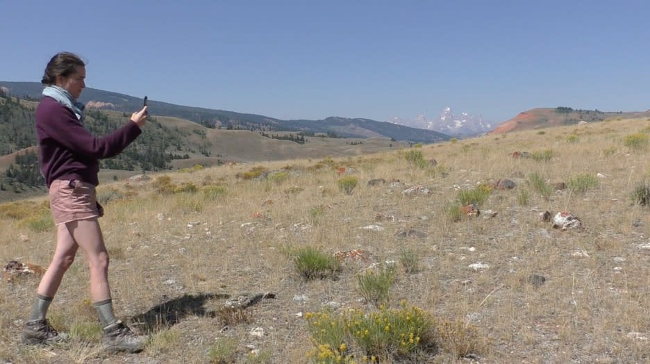 Charlotte Hallberg, Perimeter, Gros Ventre Wilderness, WY, 2016