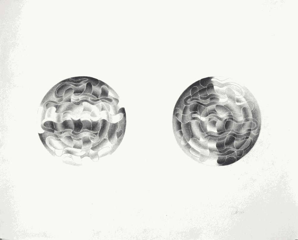 Charlotte Hallberg. Graphite Drawing, 2017. 14 x 17 inches.