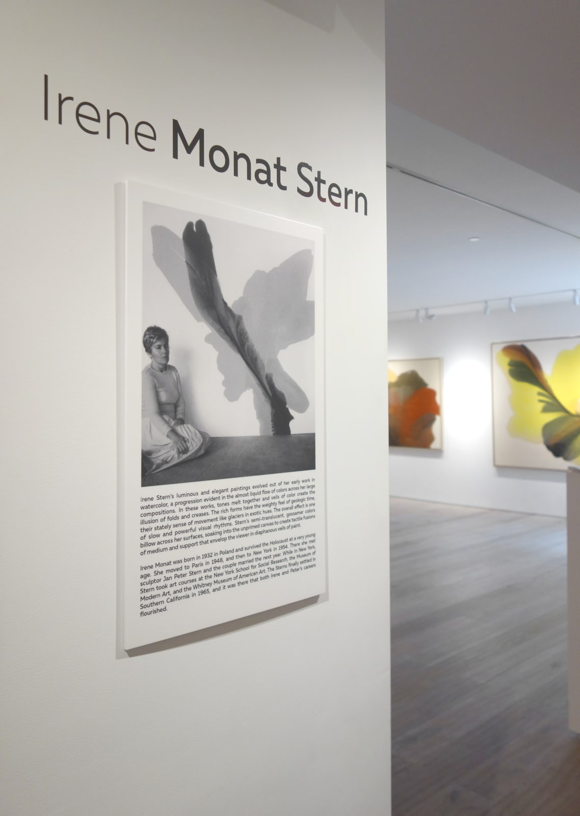 Installation view: Irene Monat Stern