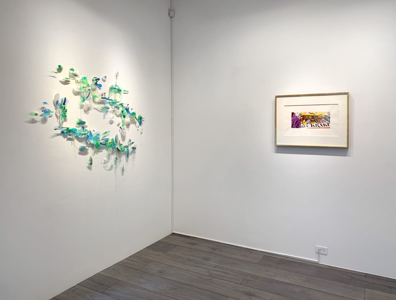 Installation view: Remnant Romance, Environmental Works: Idelle Weber and Aurora Robson