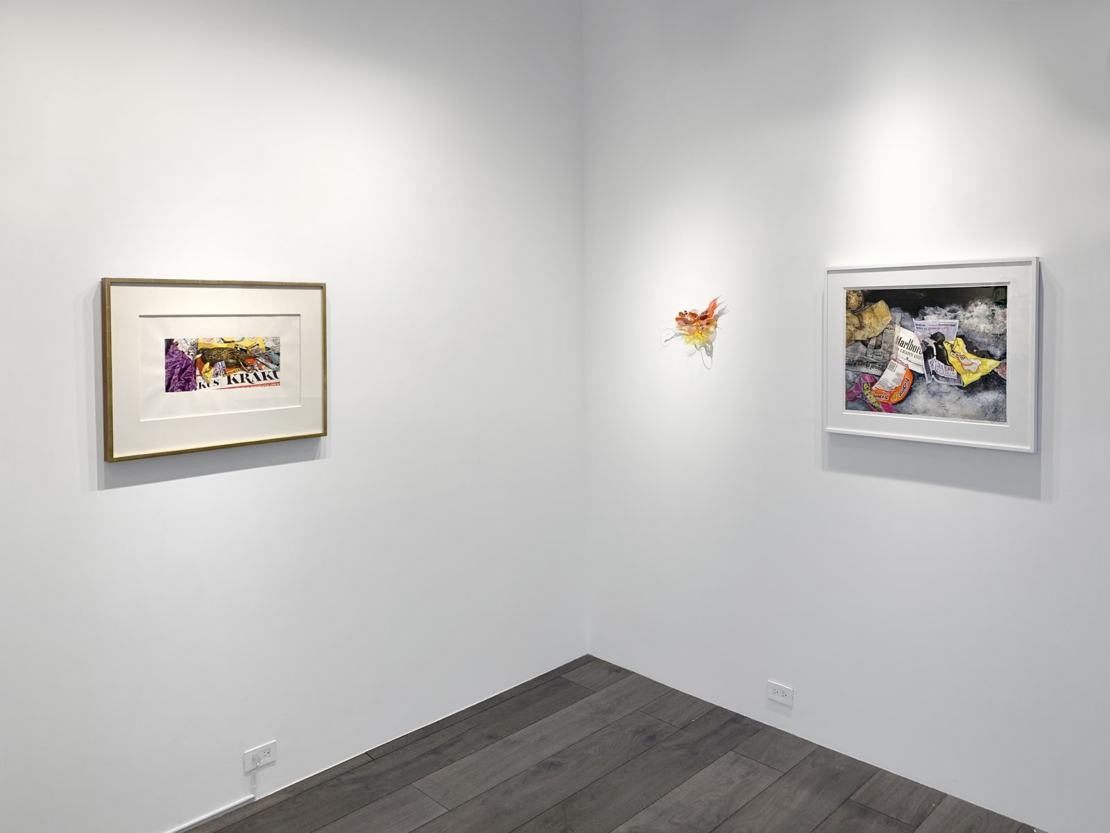 Installation view: Remnant Romance, Environmental Works: Idelle Weber and Aurora Robson