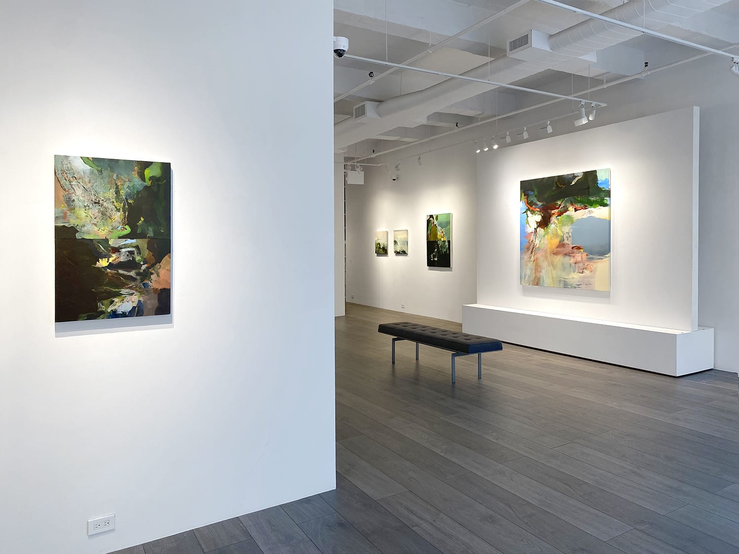 Installation view: Hollis Heichemer: Entanglement